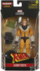 Hasbro - Marvel Legends Series - X-Men Sabretooth Action Figure Collezionabile da 15 cm