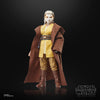 Hasbro - Star Wars - The Black Series - Padawan Jecki Lon