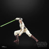 Hasbro - Star Wars - The Black Series - Maestro Jedi Indara