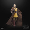 Hasbro - Star Wars - The Black Series - Maestro Jedi Sol