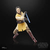 Hasbro - Star Wars - The Black Series - Maestro Jedi Sol