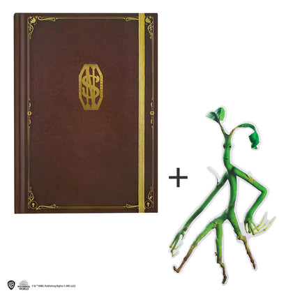 Harry Potter - Notebook & Bookmark - Newt Scamander