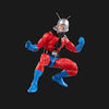 Hasbro - Marvel Legends Series - Ant-Man. Action Figure Ispirata alla Serie 