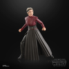 Hasbro - Star Wars - The Black Series - Morgan Elsbeth