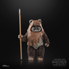 Hasbro - Star Wars - The Black Series - Wicket W. Warrick