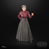 Hasbro - Star Wars - The Black Series - Morgan Elsbeth