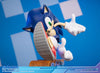 Sonic Adventure PVC Statue Sonic the Hedgehog Collector's Edition 23 cm