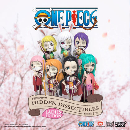 Mighty Jaxx - One Piece - Blind Box Hidden Dissectibles Series 5 (Ladies ed.) Display (6)