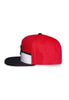 Pokemon Snapback Cap Pokeball