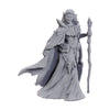 Wizkids - D&D Nolzur's Marvelous Miniatures Unpainted Miniatures 2-Pack 50th Anniversary Elves