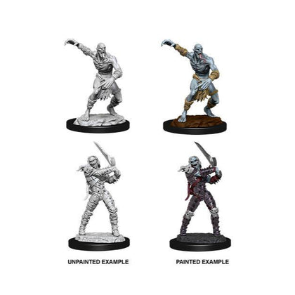 D&D Nolzur's Marvelous Miniatures Unpainted Miniatures Wight & Ghast Case (6)